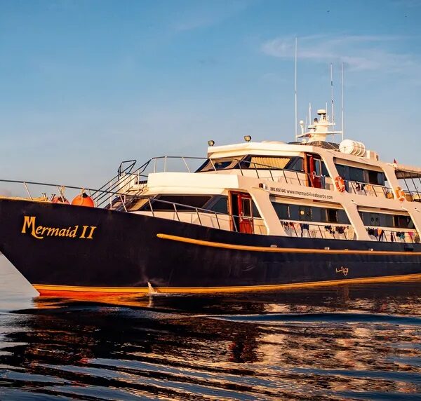 Get 10% off this 8-day liveaboard with whale sharks. Dive 20 top sites from Bali - Komodo - Bali and snorkel with whale sharks in Saleh Bay.