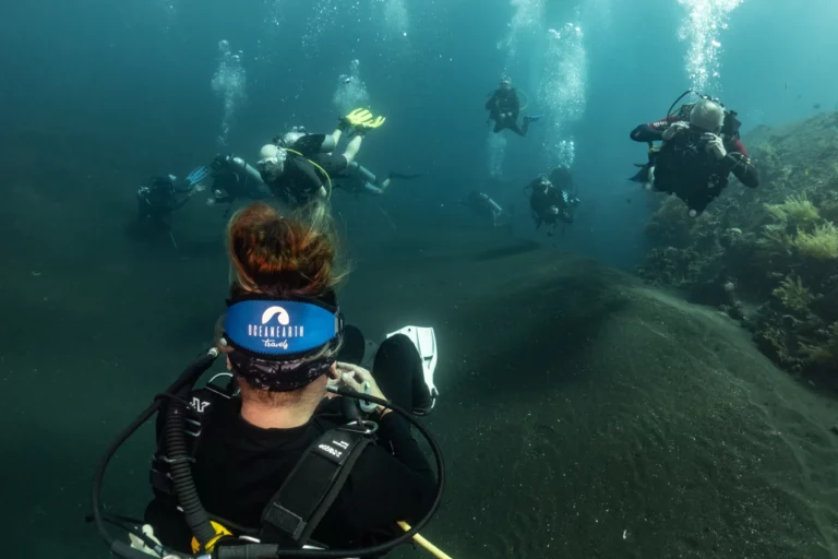 Lire la suite à propos de l’article Votre guide des meilleurs sites de plongée de Bali : les meilleurs sites dans chaque région