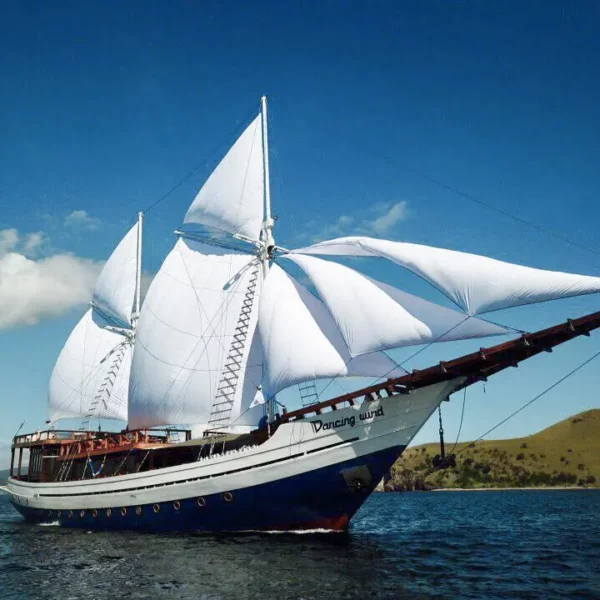 luxury diving liveaboard indonesia - dancing wind