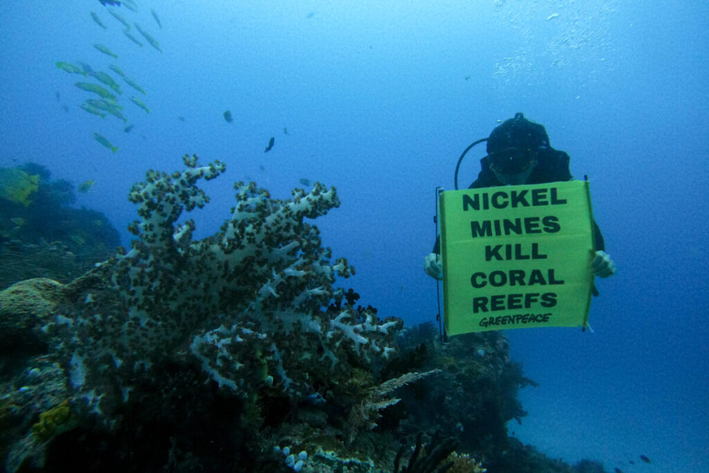 Save Raja Ampat: The Last Paradise is Under Threat - green peace