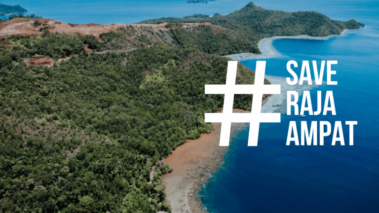 Read more about the article Save Raja Ampat: The Last Paradise is Under Threat