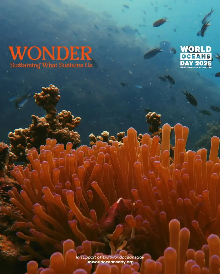Read more about the article World Oceans Day 2025: Sustaining the Wonder that Sustains Us