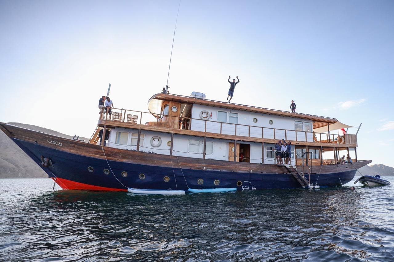 Rascal 29