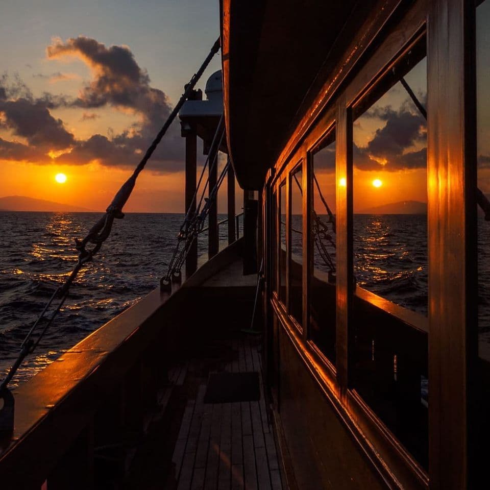 MV Samambaia 9