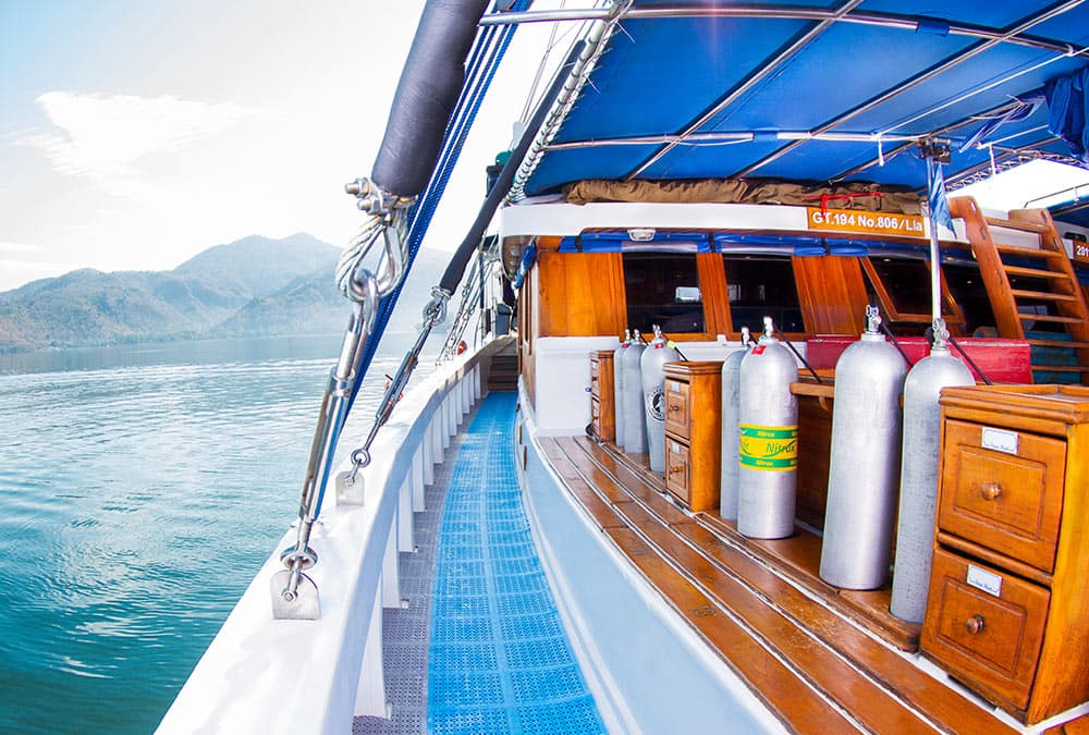 Indo Siren Liveaboard 7