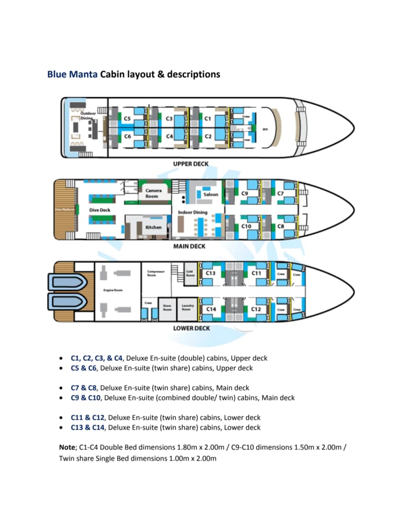 Blue Manta 15