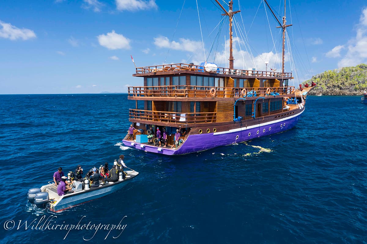 Neomi Cruise 5