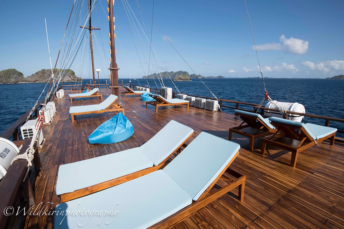 Neomi Cruise 11