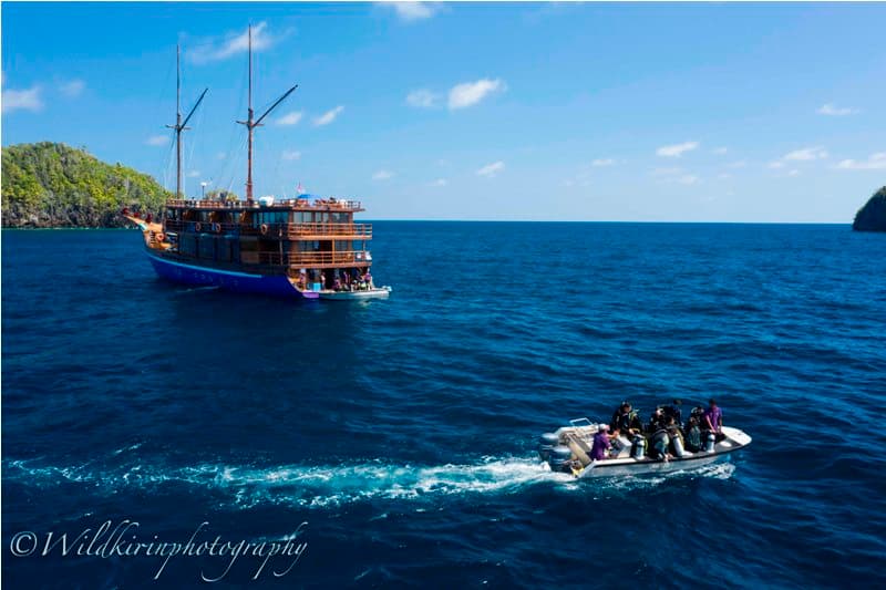 Neomi Cruise 7