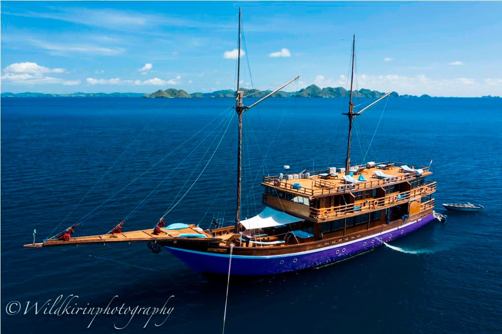 Neomi Cruise 8