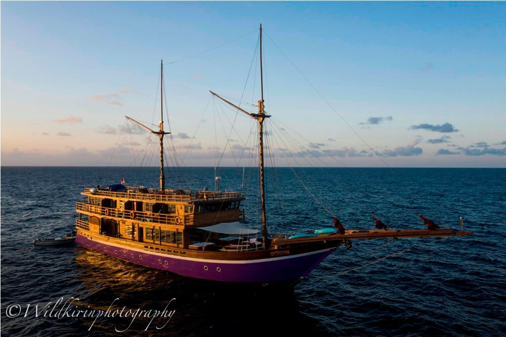 Neomi Cruise 25