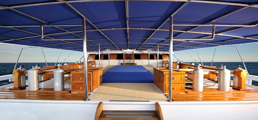 Indo Siren Liveaboard 2