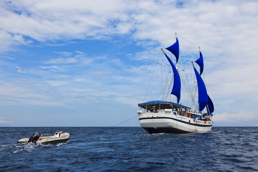 Indo Siren Liveaboard 12