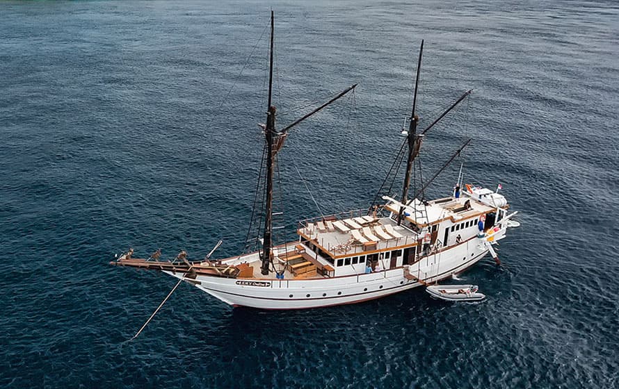 SMY Ondina 14