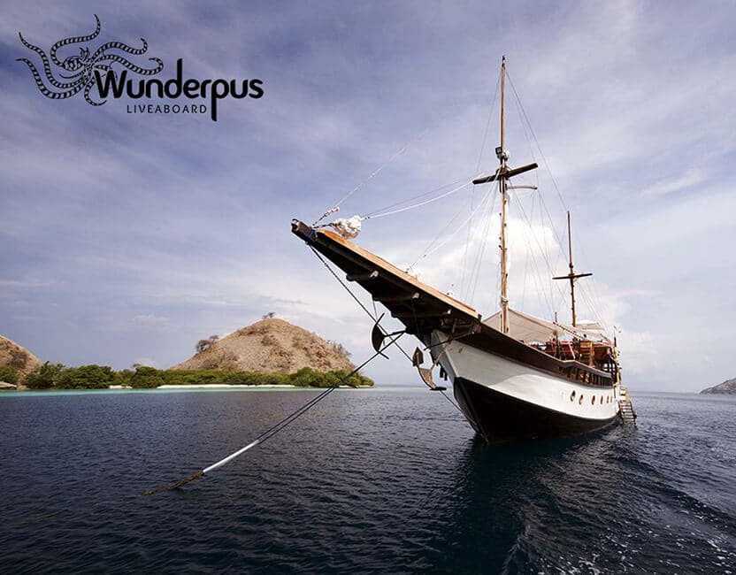 Wunderpus Liveaboard 23