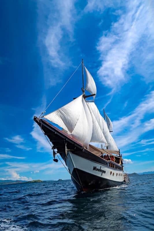 Wunderpus Liveaboard 4