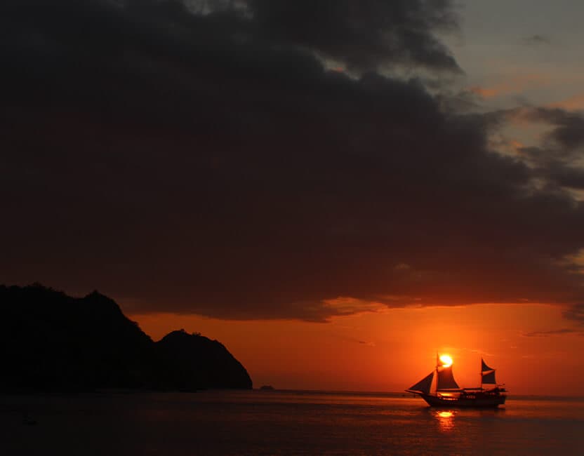 Wunderpus Liveaboard 3