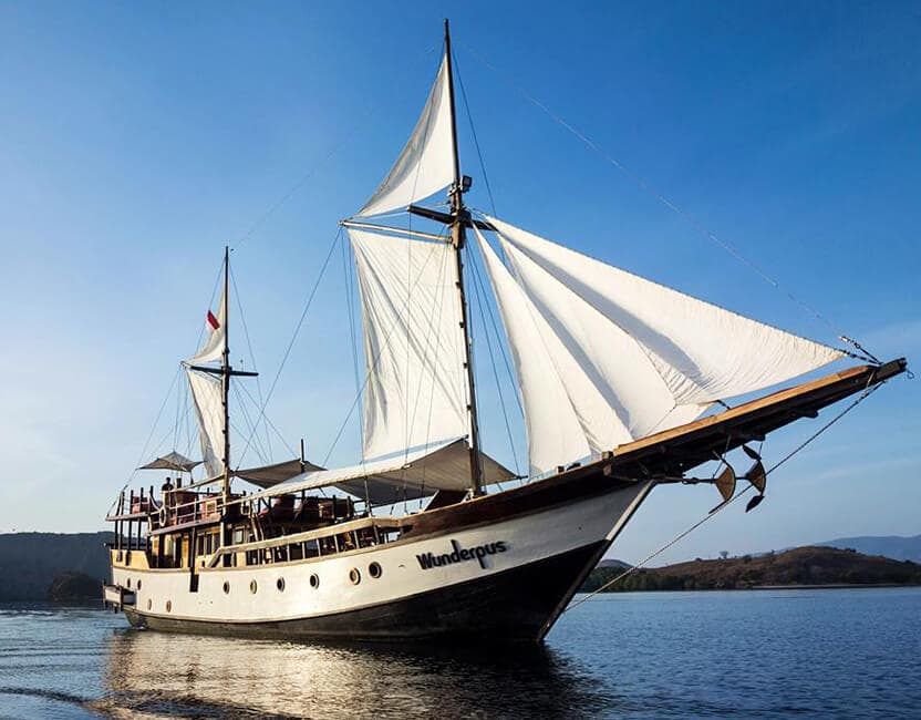 Wunderpus Liveaboard 1
