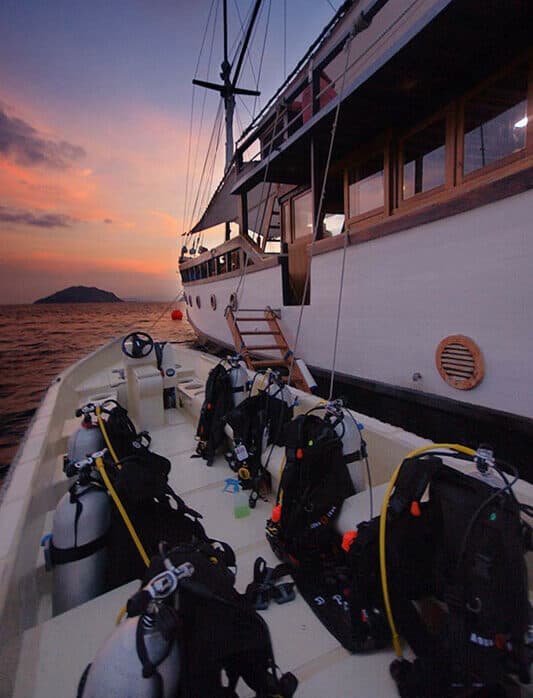 Wunderpus Liveaboard 22