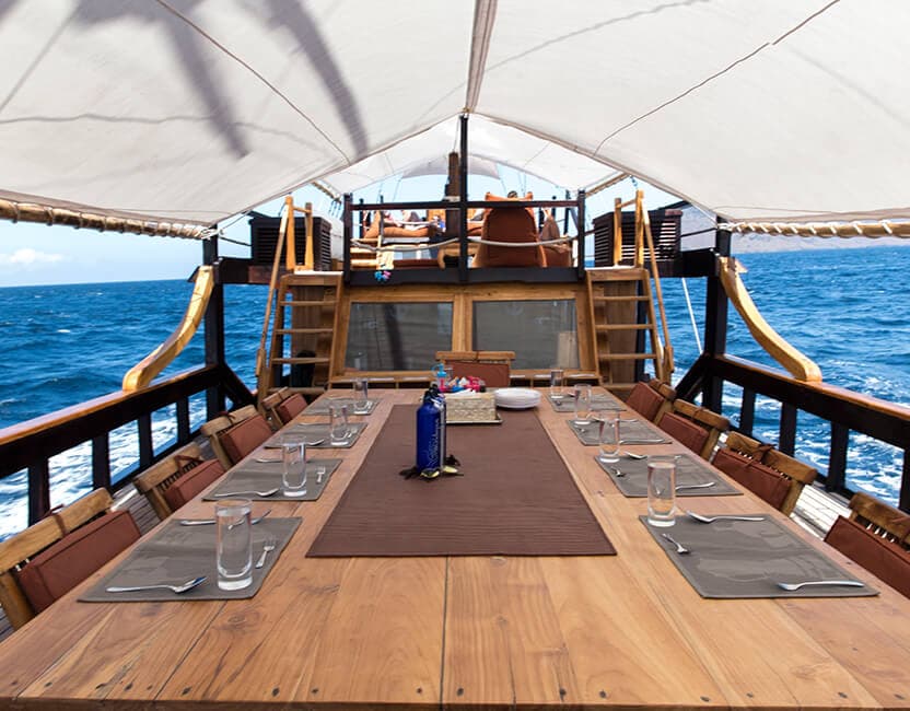 Wunderpus Liveaboard 8