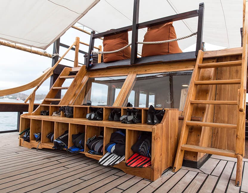 Wunderpus Liveaboard 9