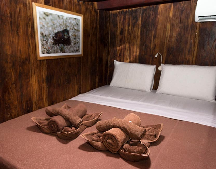 Wunderpus Liveaboard 16