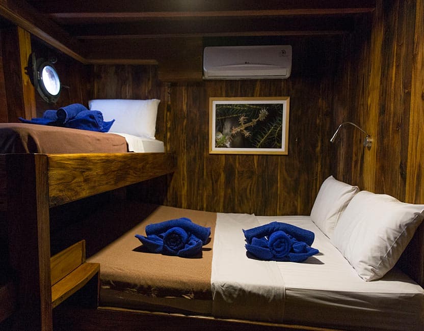 Wunderpus Liveaboard 20