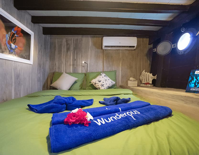 Wunderpus Liveaboard 18