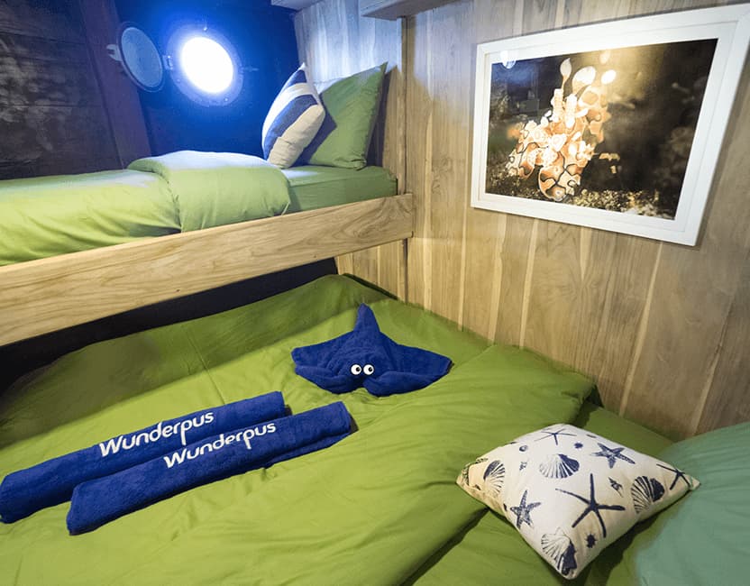 Wunderpus Liveaboard 17