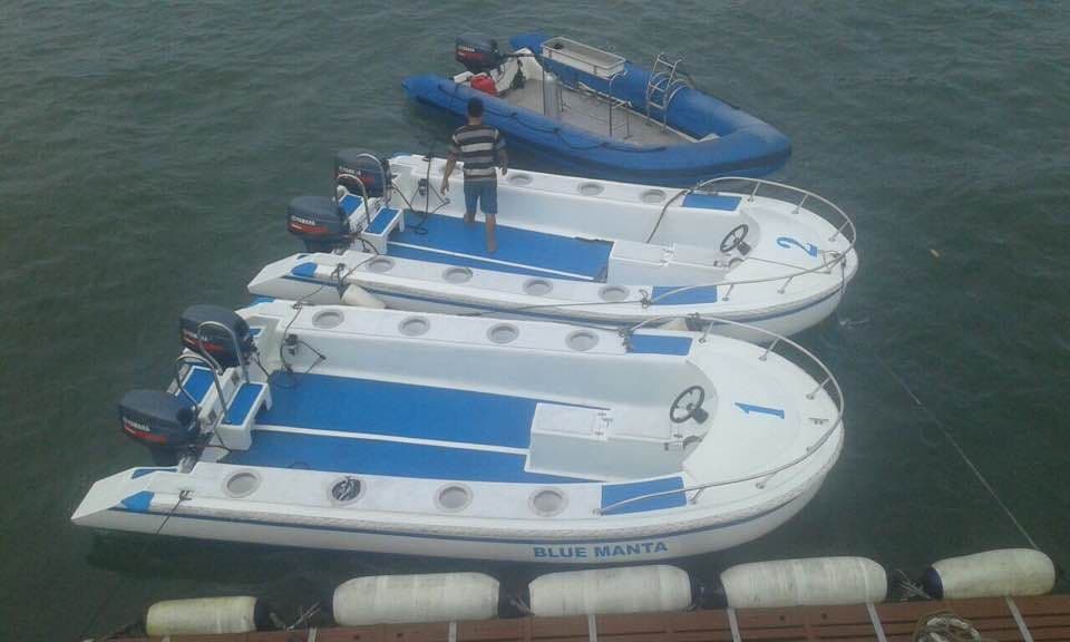 Blue Manta 14