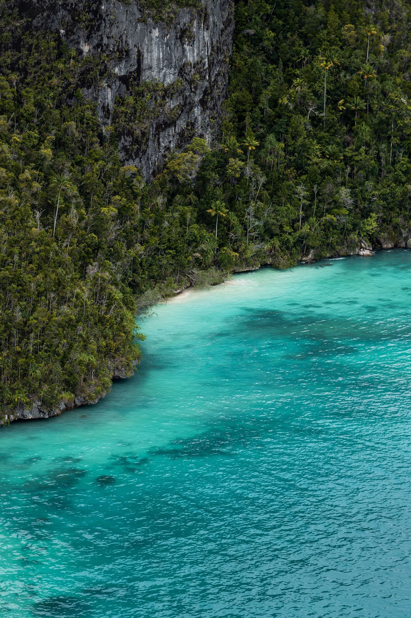 Raja Ampat 6