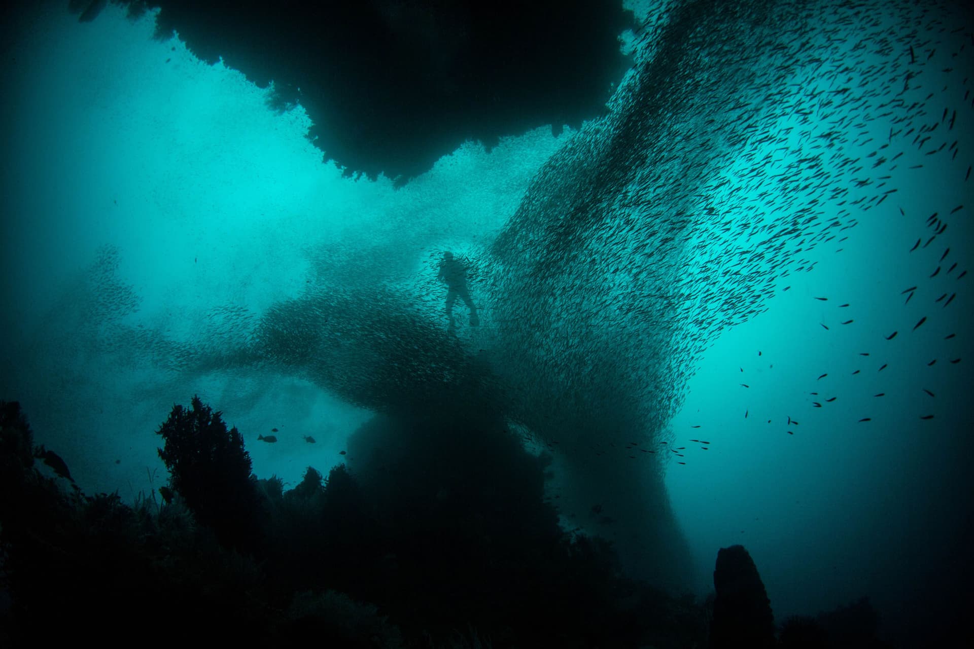 Raja Ampat 11