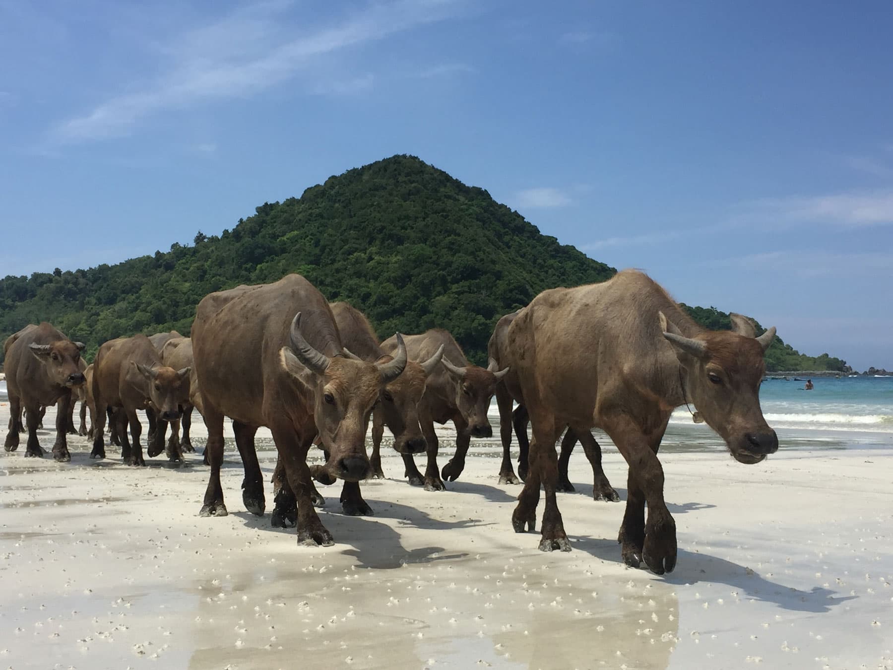 Lombok 1