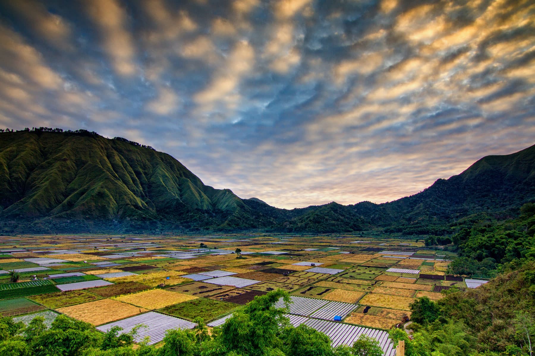 Lombok 2