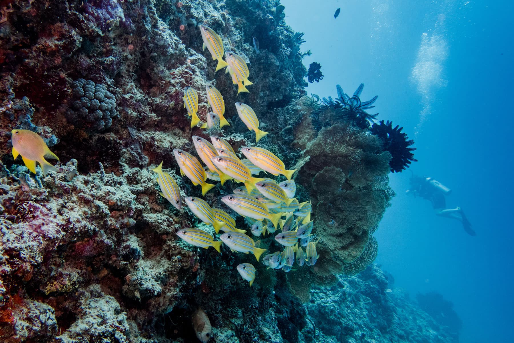 Lombok 16