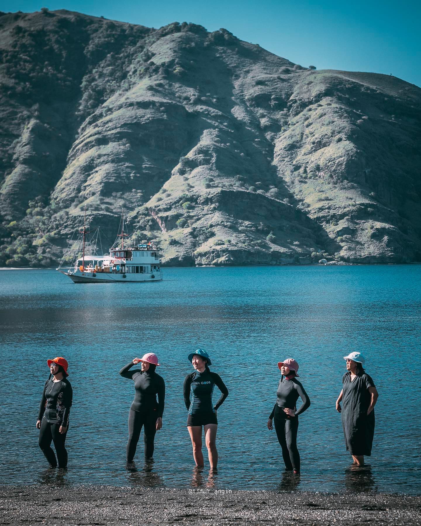 Anthias 22