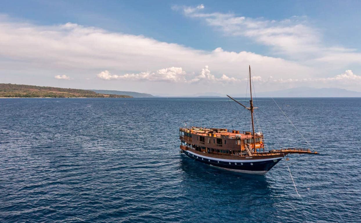 Mola Mola 2 2