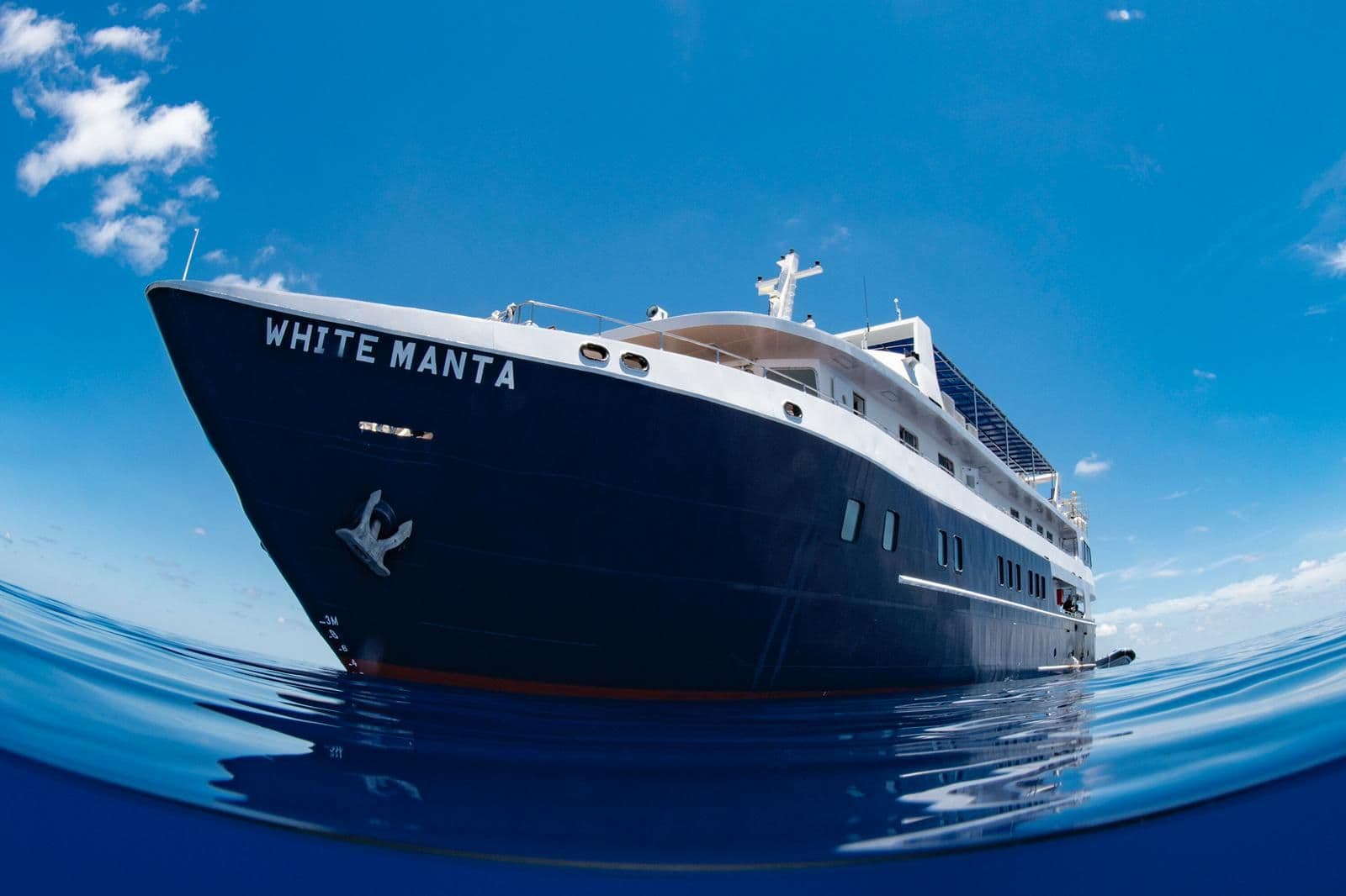 New White Manta 16