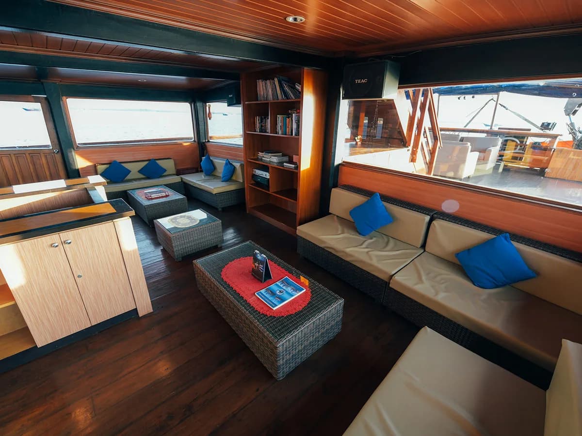 Sea Safari 8 11