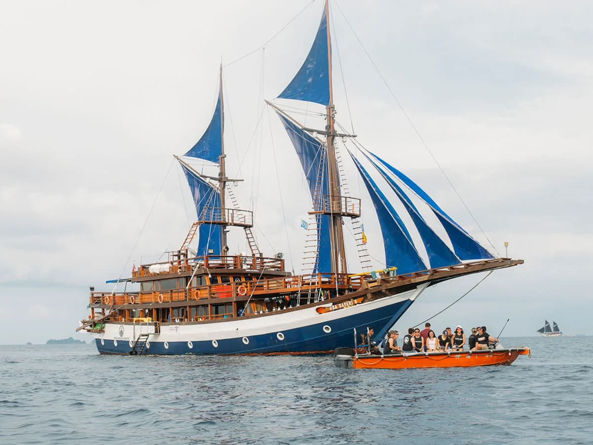 Sea Safari 8 1
