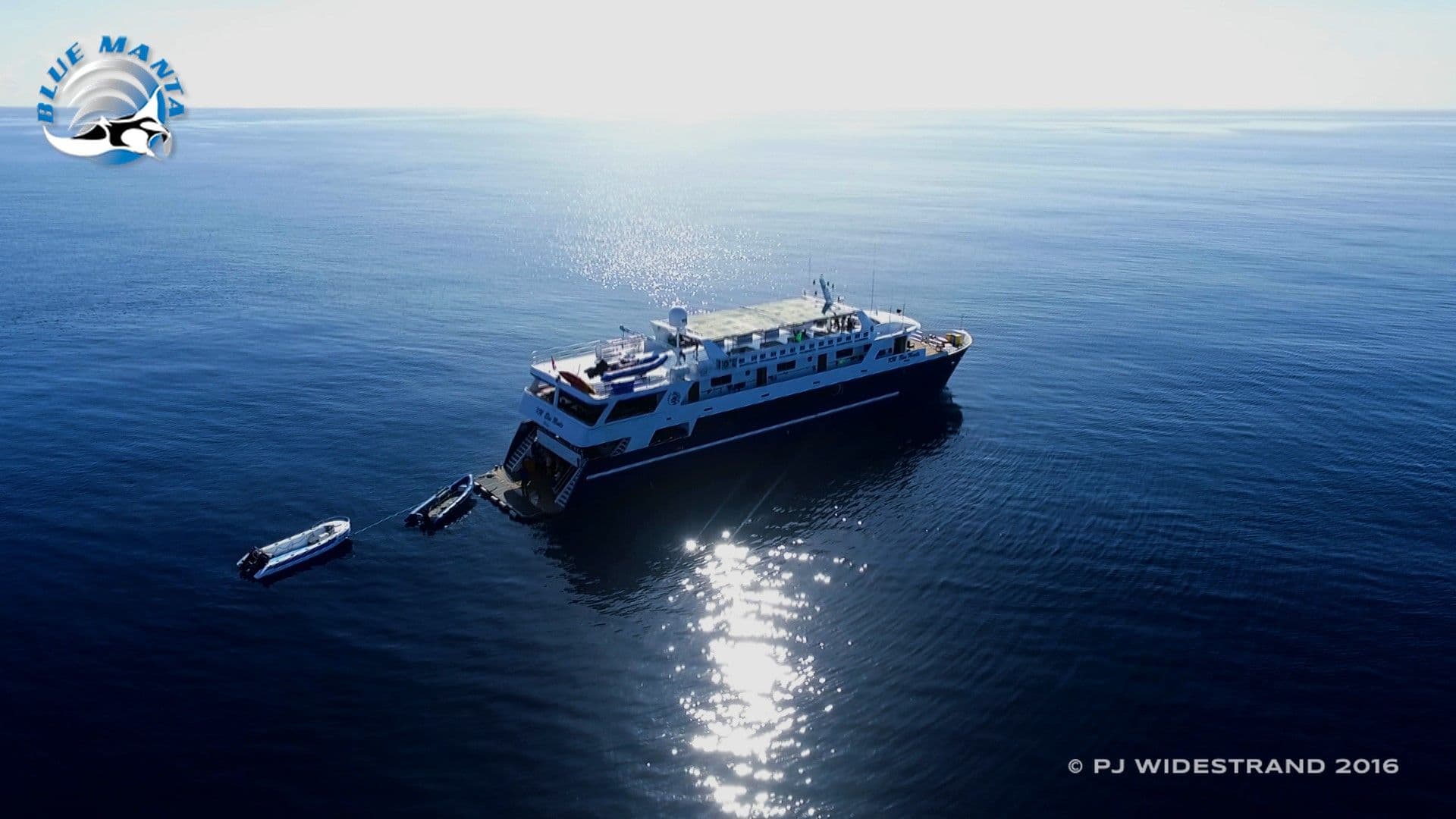 20% Off | 11-Day Alor, Maumere to Komodo Diving Liveaboard | Blue Manta | June 8 – 18, 2026