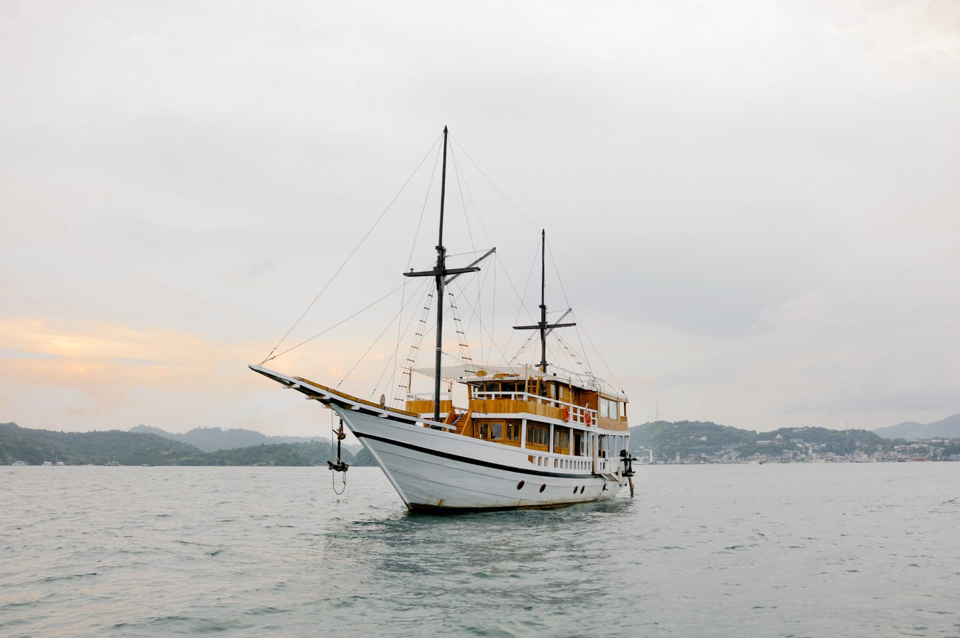 Dragonet 2