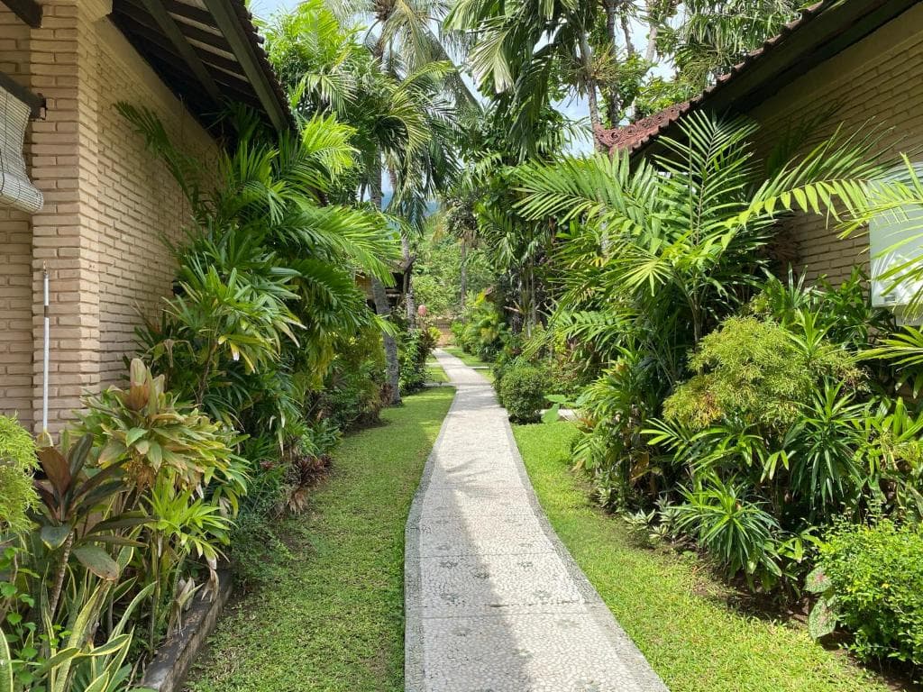 Hidden Paradise 15