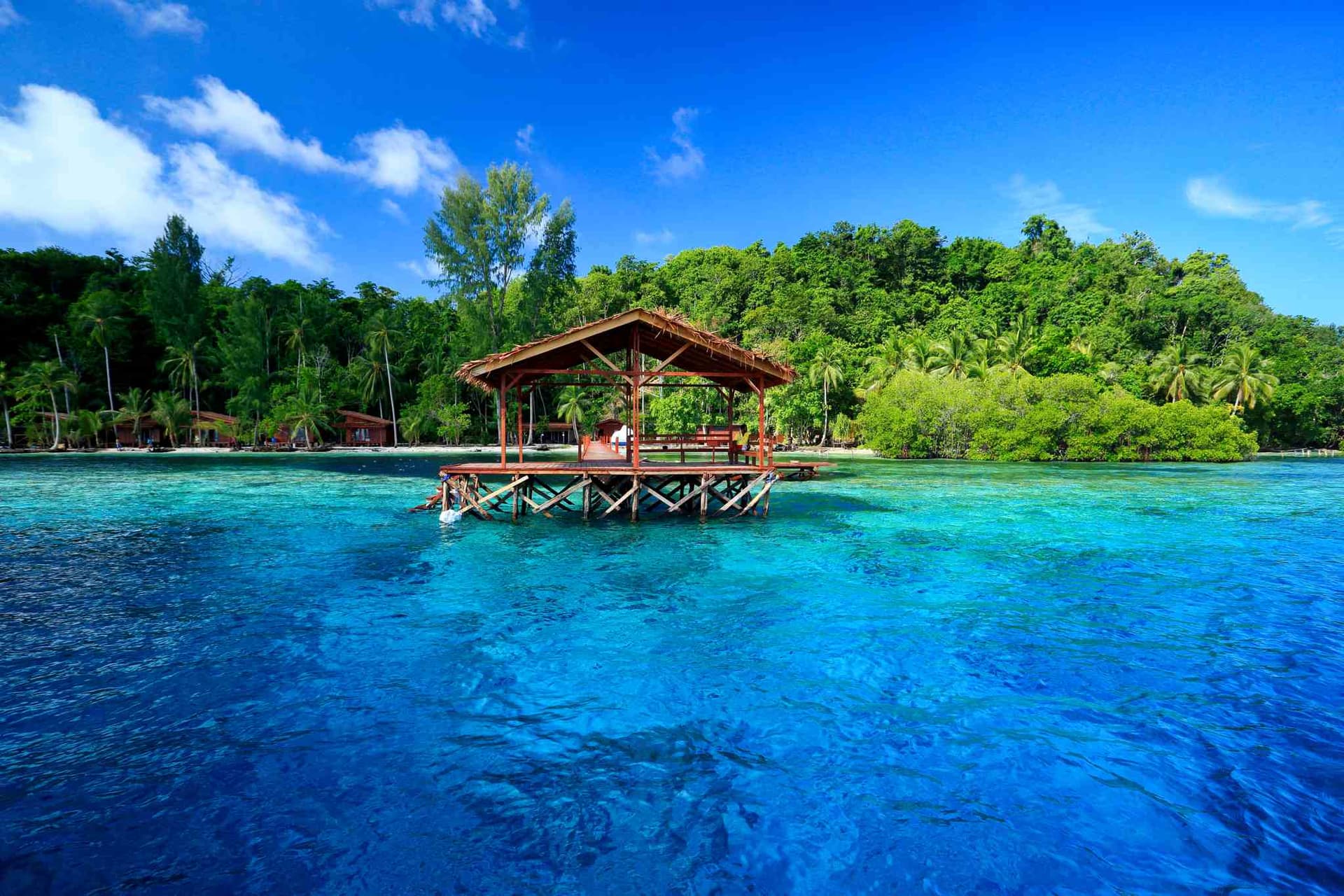 Cove Eco Resort 6