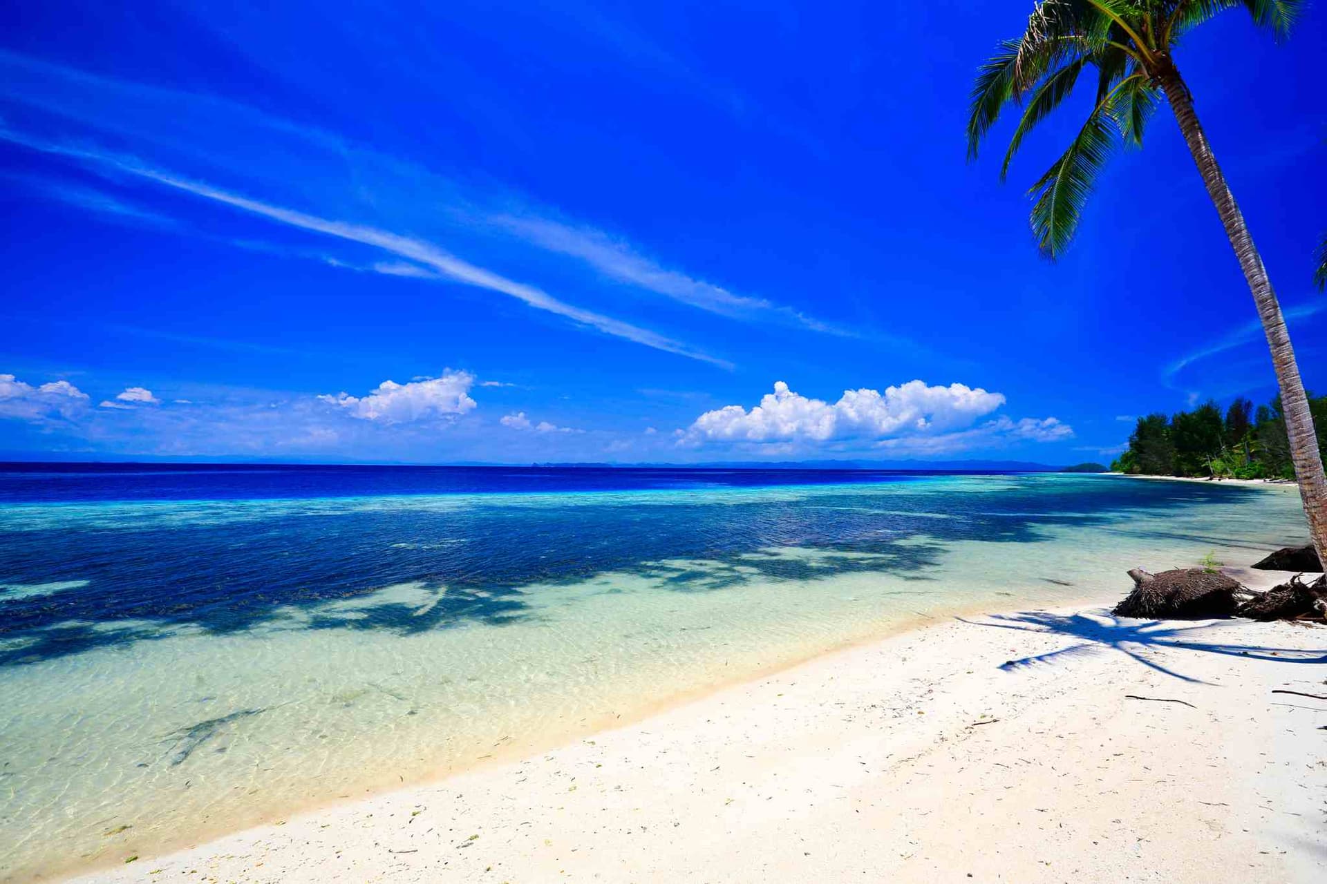 Cove Eco Resort 40