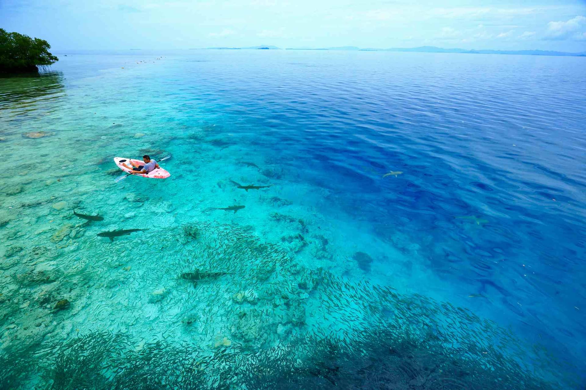Cove Eco Resort 41