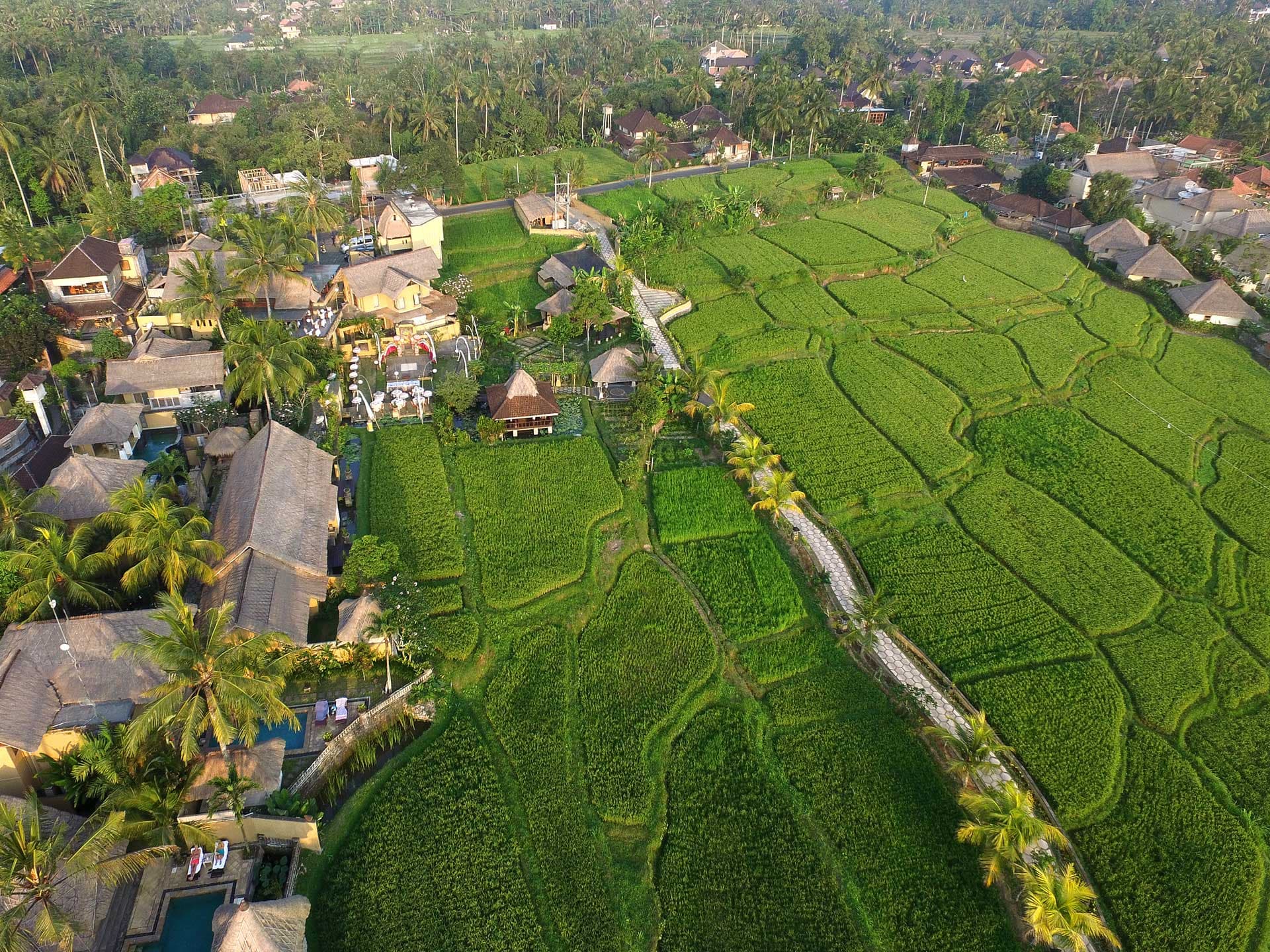 Wapa di Ume Ubud 60