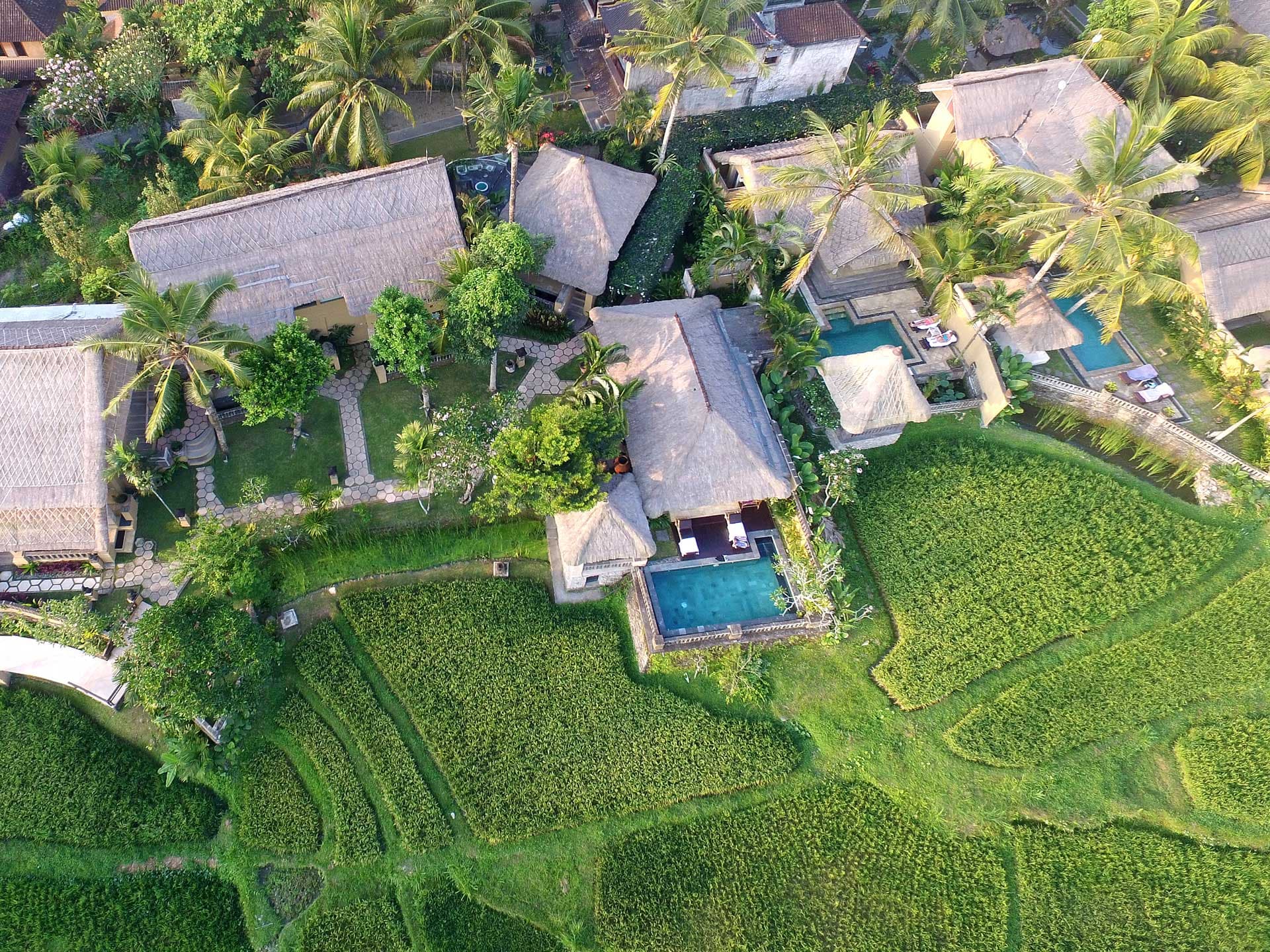 Wapa di Ume Ubud 59
