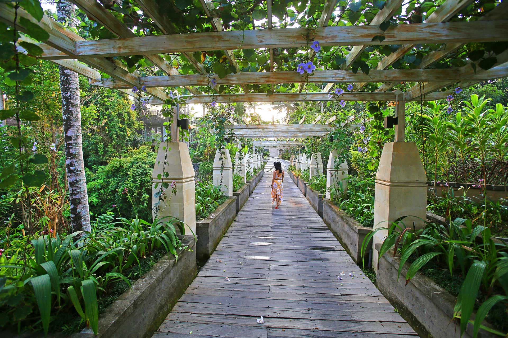 Wapa di Ume Ubud 55