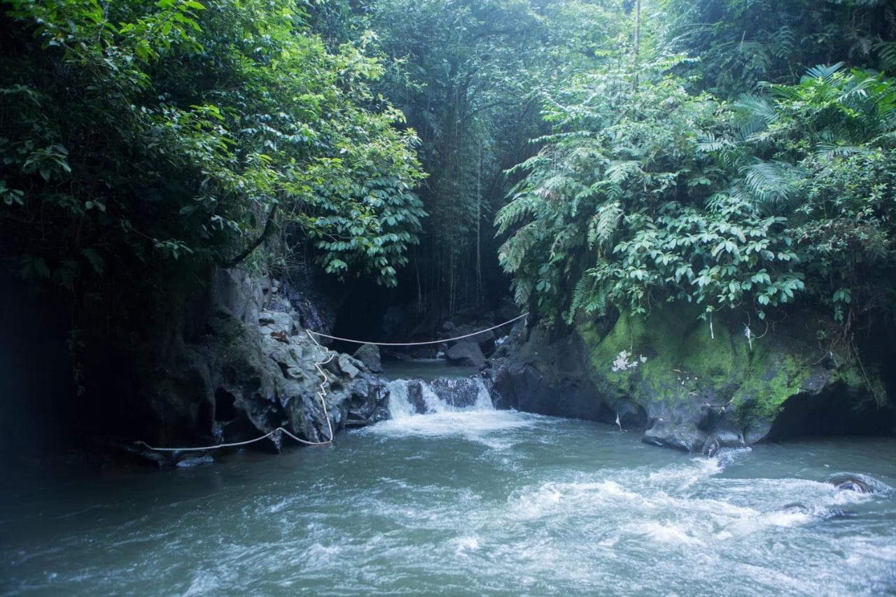 Anahata Resort 9